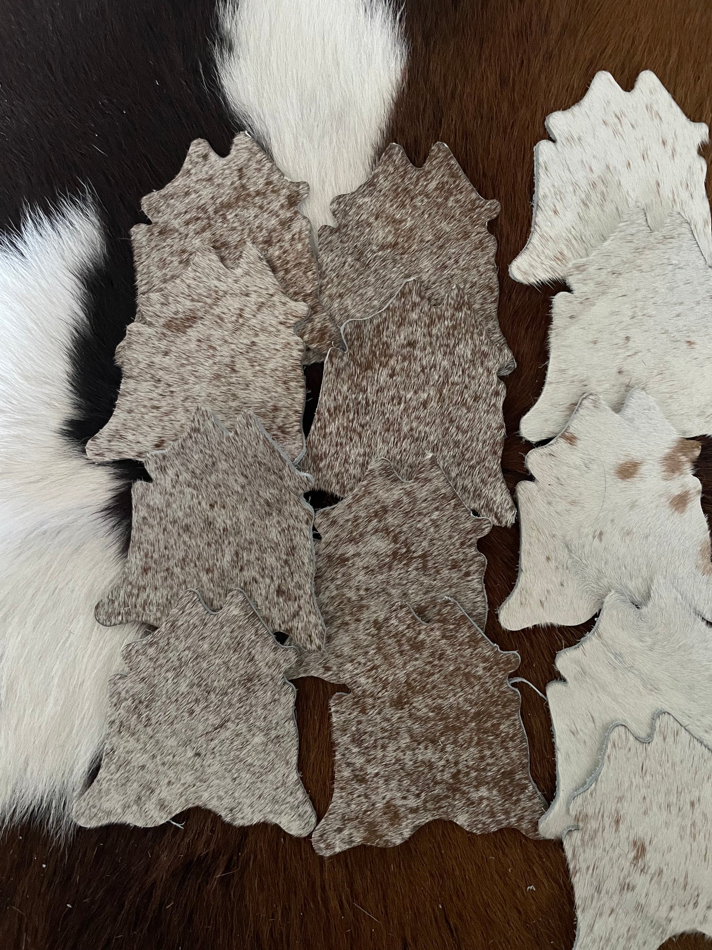 Cowhide mini coasters